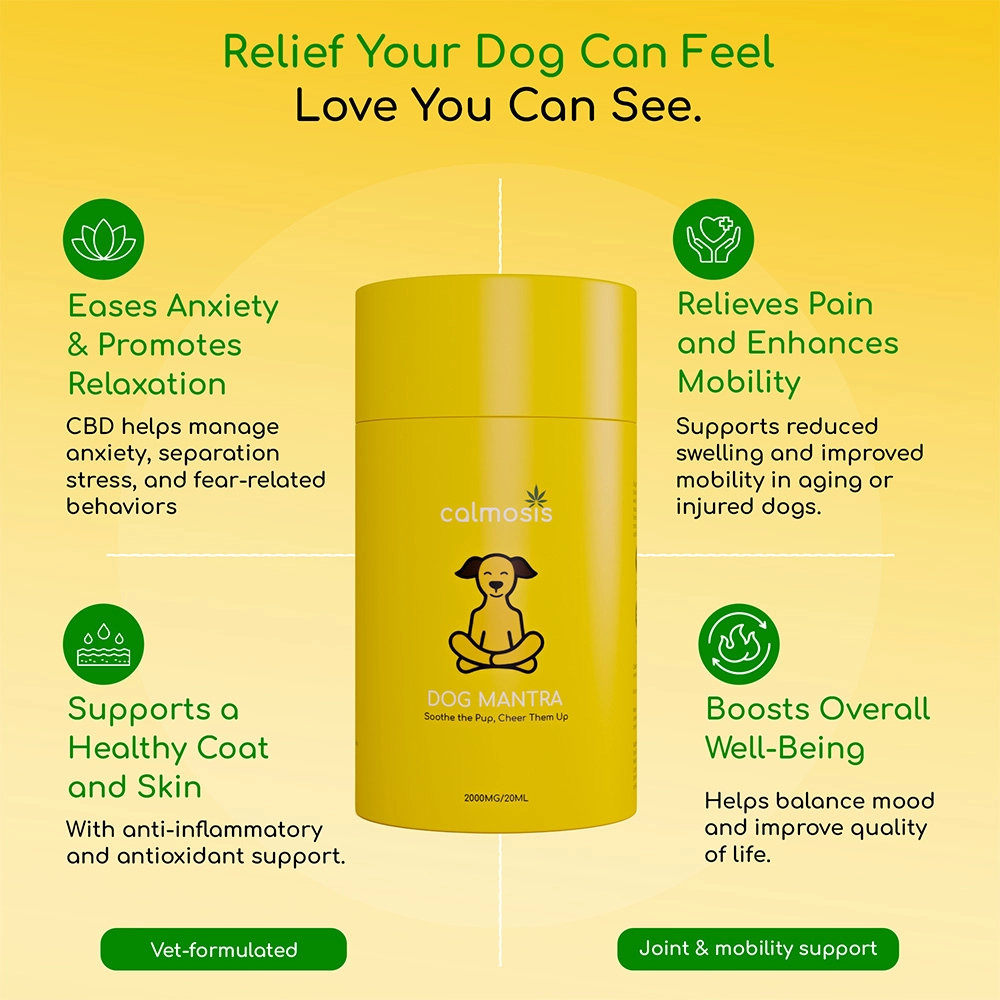 Calmosis Dog Mantra THC-Free CBD Oil for Dogs 2000mg (Chicken Flavour), 20ml on itshemp.in