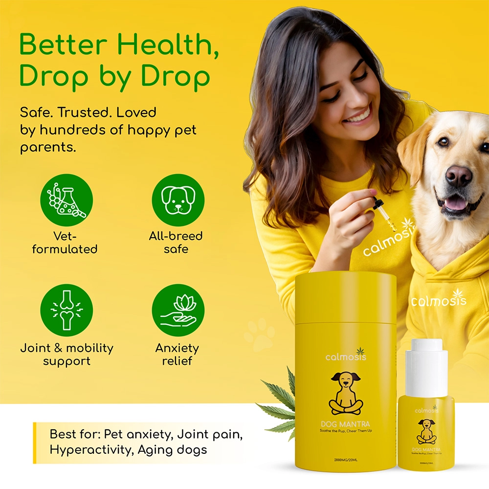 Calmosis Dog Mantra THC-Free CBD Oil for Dogs 2000mg (Chicken Flavour), 20ml on itshemp.in