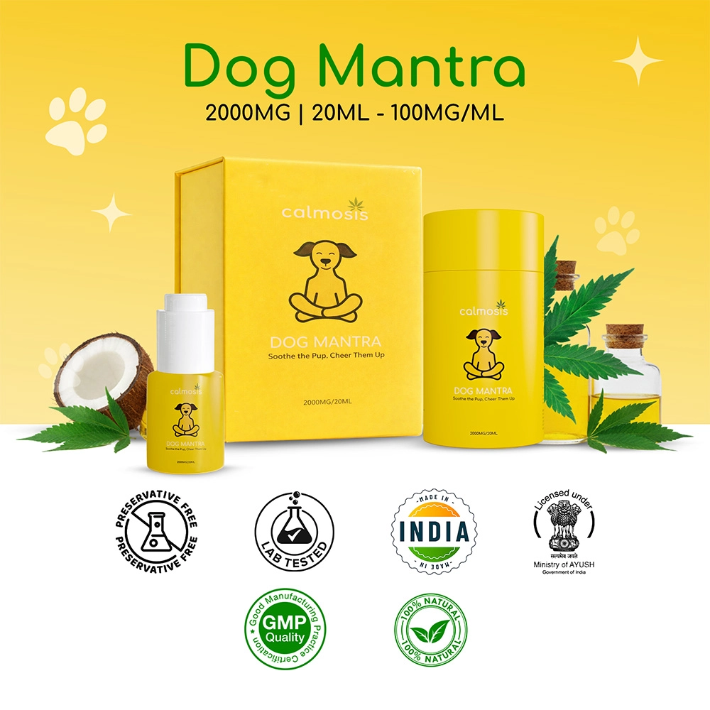 Calmosis Dog Mantra THC-Free CBD Oil for Dogs 2000mg (Chicken Flavour), 20ml on itshemp.in