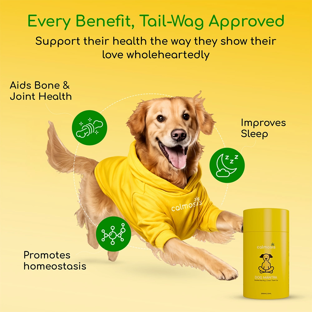 Calmosis Dog Mantra THC-Free CBD Oil for Dogs 2000mg (Chicken Flavour), 20ml on itshemp.in