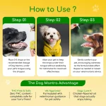 Calmosis Dog Mantra THC-Free CBD Oil for Dogs 2000mg (Chicken Flavour), 20ml on itshemp.in