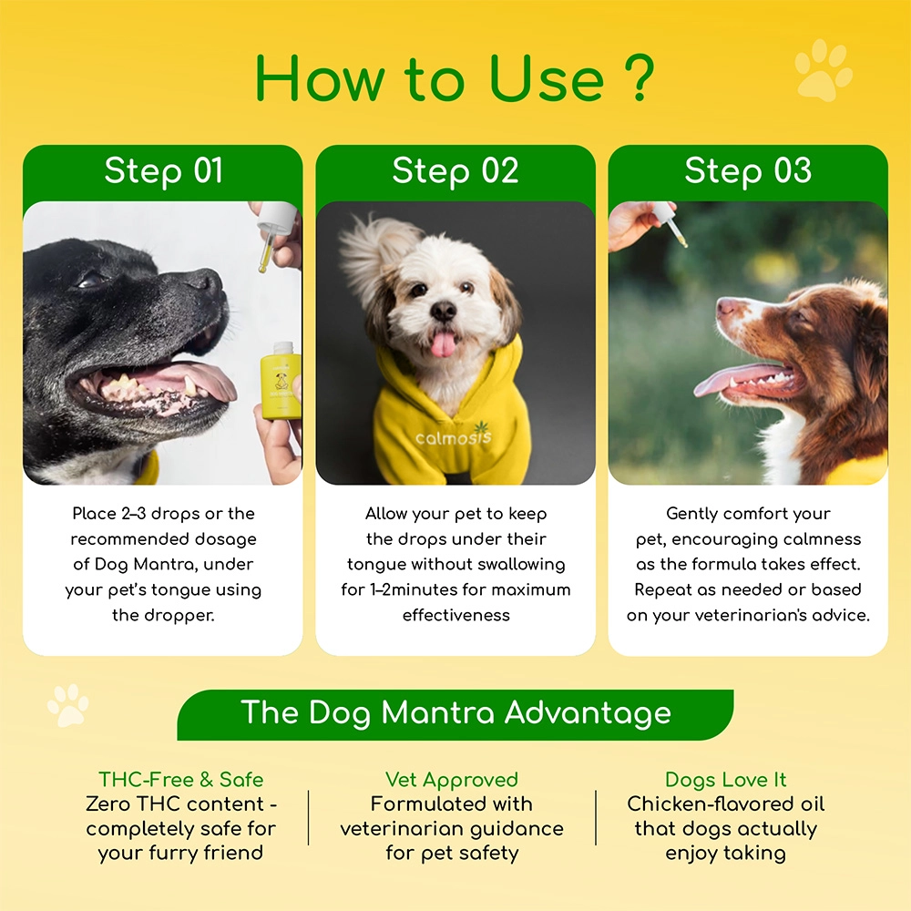 Calmosis Dog Mantra THC-Free CBD Oil for Dogs 2000mg (Chicken Flavour), 20ml on itshemp.in