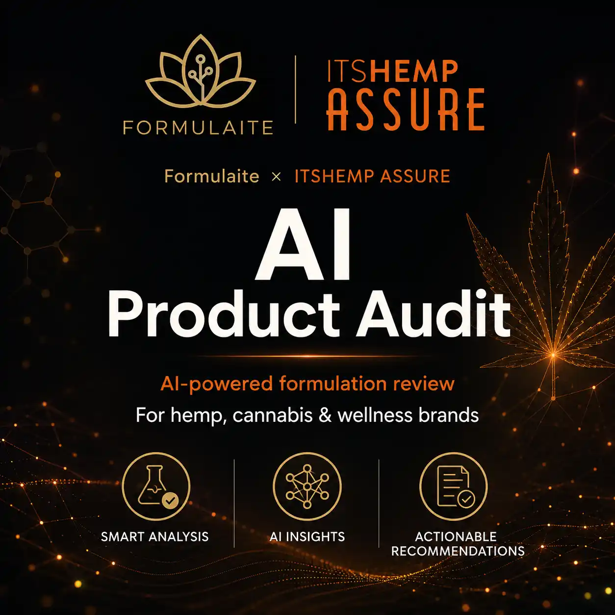 Formulaite x ITSHEMP AI Product Audit - Image 1