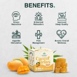 Cannavedic Canna Relax RAW Gummies Mango Flavor, (2:1 |THC:CBD), Pack of 5, 30mg - Image 6