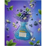 Indie Extracts Full Spectrum Gummies, Blueberry, 10 Gummies on itshemp.in
