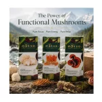 Moksa Functional Mushroom Trio on Itshemp.in