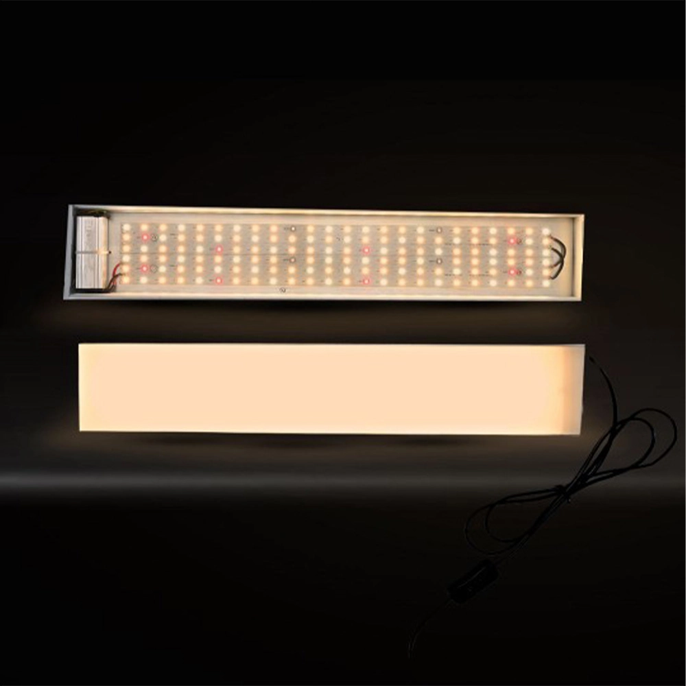 Zen Home Grow Full Spectrum Lights, 50 Watt - Image 3
