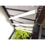 Zen Fire Fly Tube Light, 15Watt - Image 2