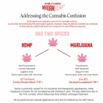 Madam Hemp Lavender & Orange Hemp Massage Oil, 800 ml, on itshemp.in