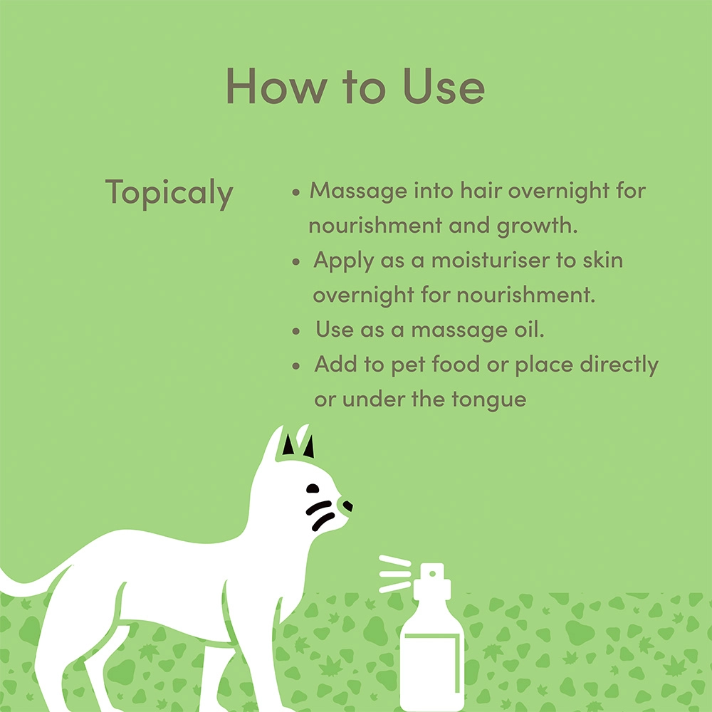 Vedic Tails - Hemp Seed Oil For Pets, 50ml - Image 5