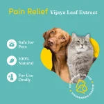 Vedic Tails Full Spectrum Cannabis, leaf extract for Pet - Strong, 30ml - Image 2