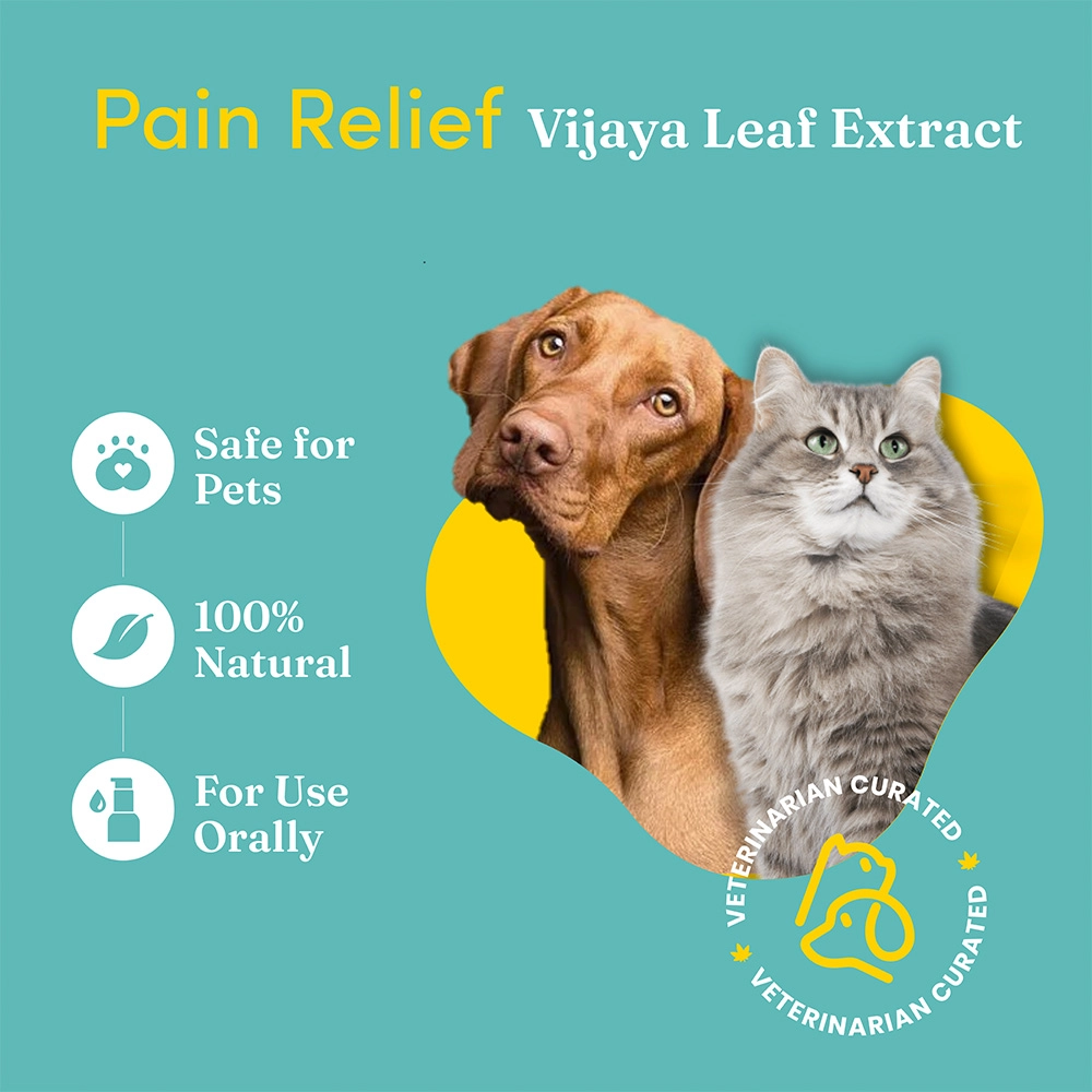 Vedic Tails Full Spectrum Cannabis, leaf extract for Pet - Strong, 30ml - Image 2