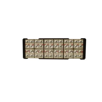 Zen Raptor 150 Watt Light