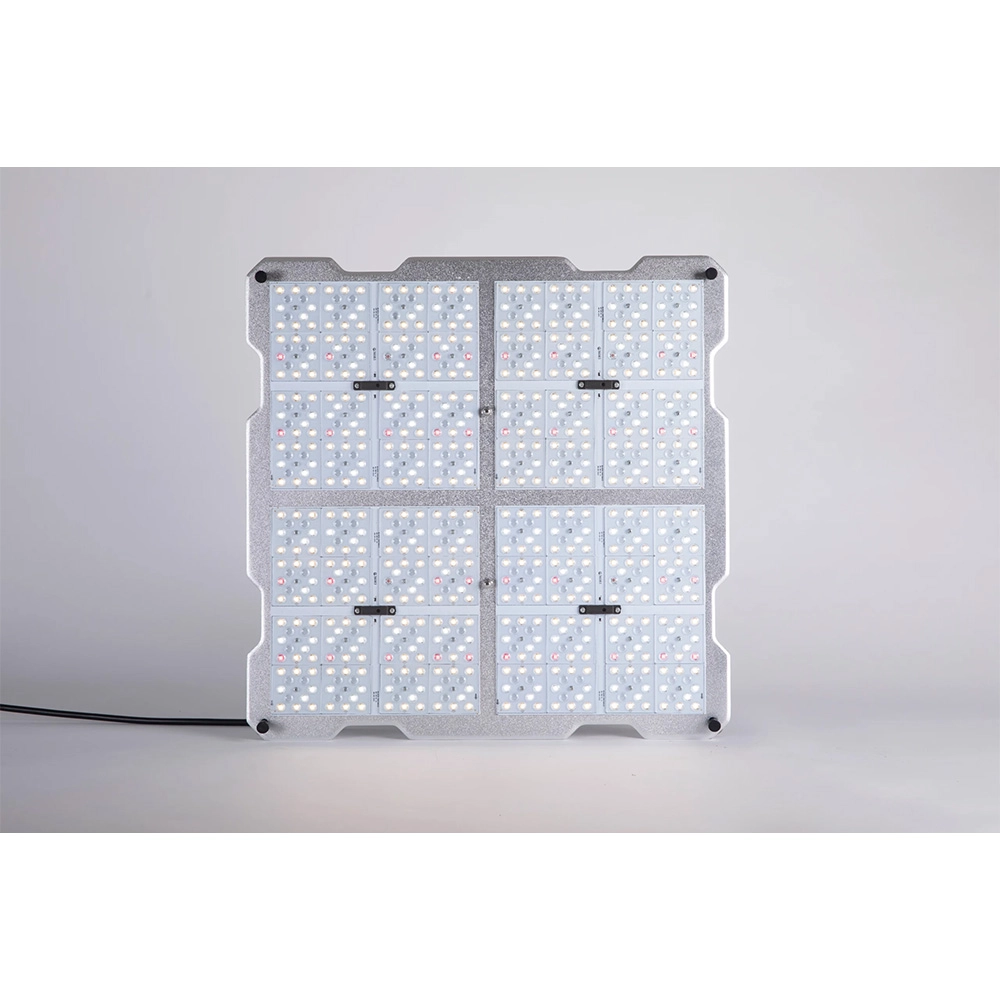 Zen Nighthawk 200 Watt - Image 2