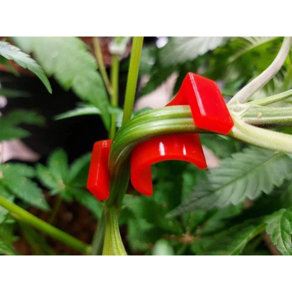 Zen Low Stress Training Clips (LST) - Image 3