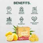 Cannavedic CannaRelax Strong - Ayurvedic Vijaya Candy, (1:1 | THC:CBD), Pack of 2 - Image 2