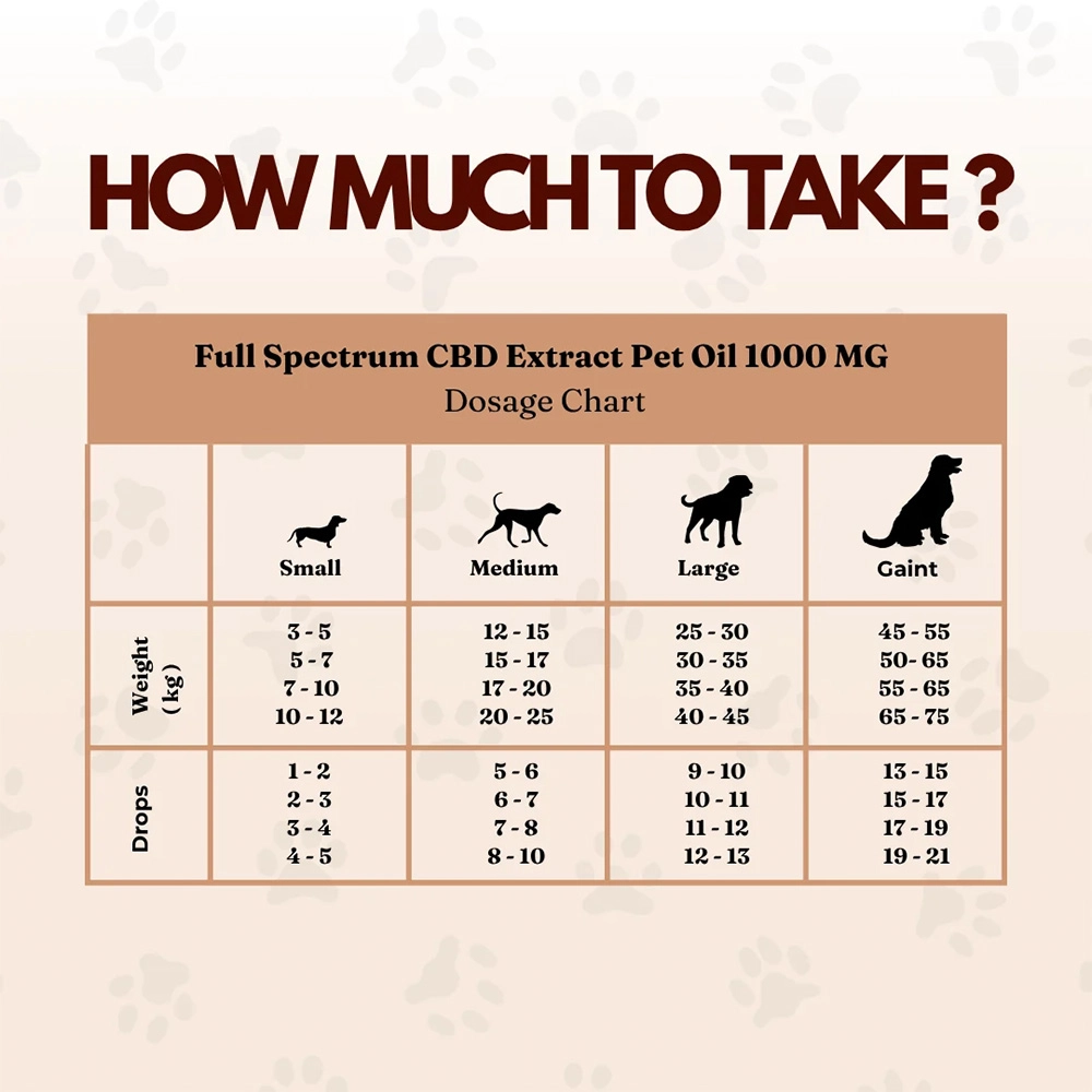 CannazoIndia Cannazo India Pet CBD Oil, 10 ml - Image 3
