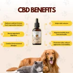 CannazoIndia Cannazo India Pet CBD Oil, 10 ml - Image 5