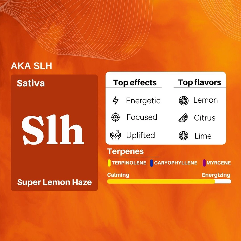 CannazoIndia Uplift Plus, Strong Full-Spectrum - Image 5