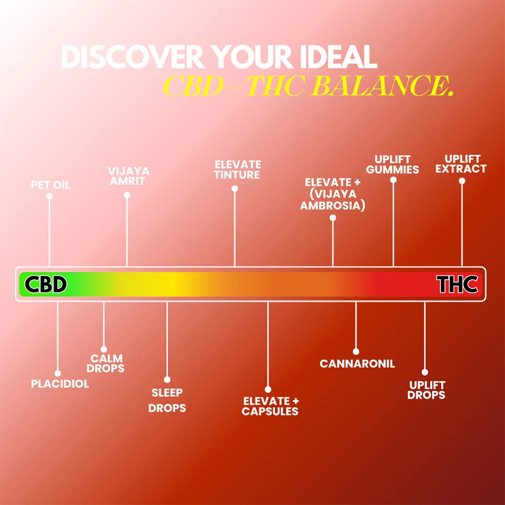 CannazoIndia ELEVATE + Drops (Vijaya Ambrosia), CBD+THC, (3ml-15ml) - Image 7